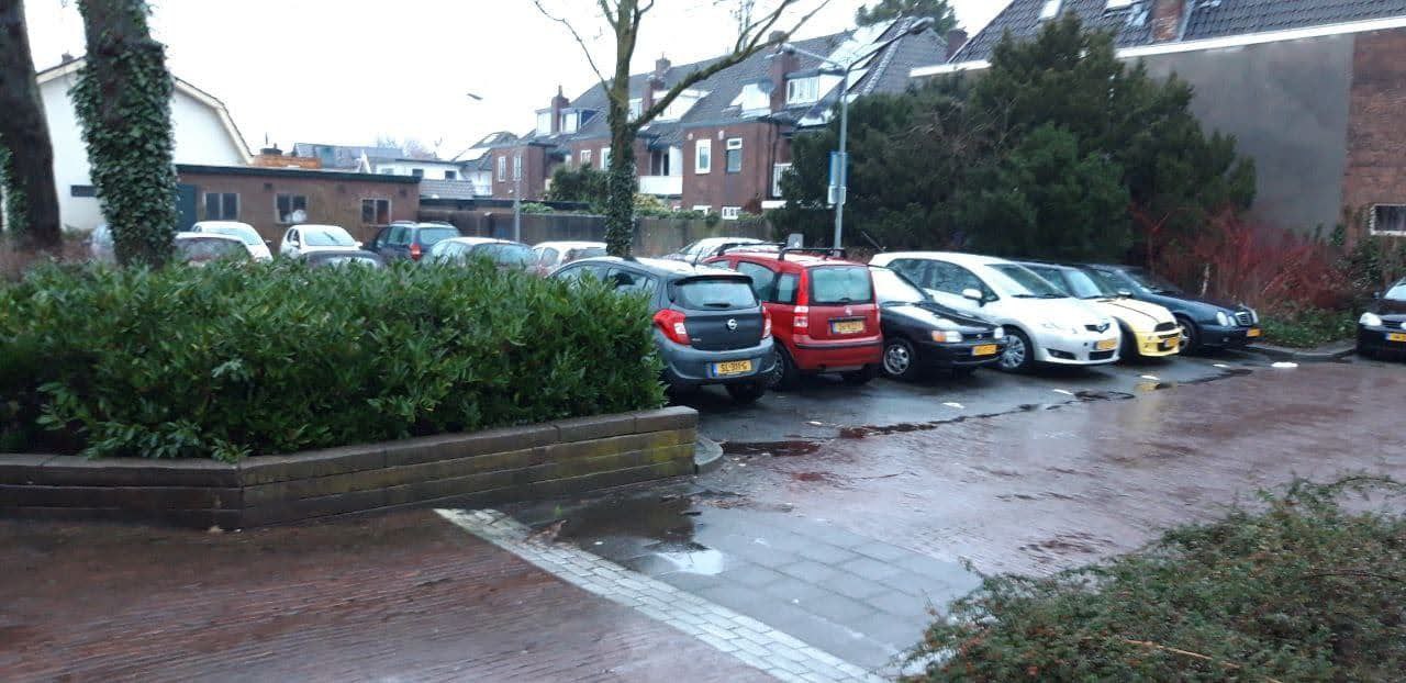 Evaluatie deelautoproef Vitusbuurt